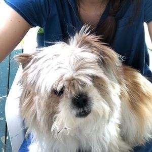 Meet your Posher, Elke